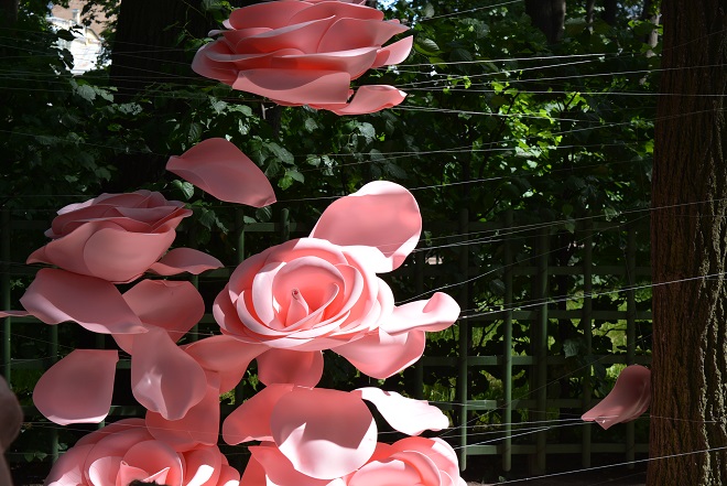 assambley of flowers 01.jpg assambley of flowers 01